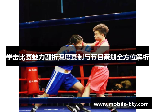 拳击比赛魅力剖析深度赛制与节目策划全方位解析