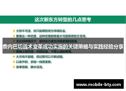 费内巴切战术变革成功实施的关键策略与实践经验分享