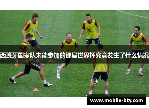 西班牙国家队未能参加的那届世界杯究竟发生了什么情况
