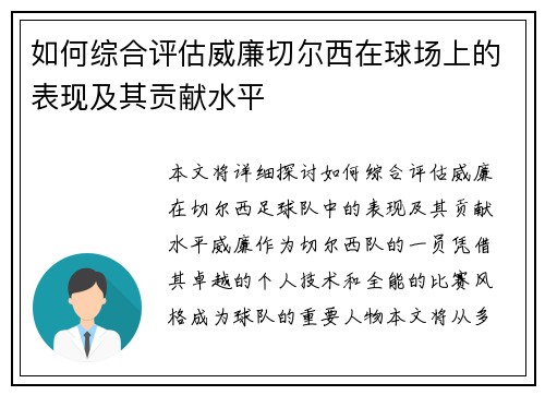 如何综合评估威廉切尔西在球场上的表现及其贡献水平