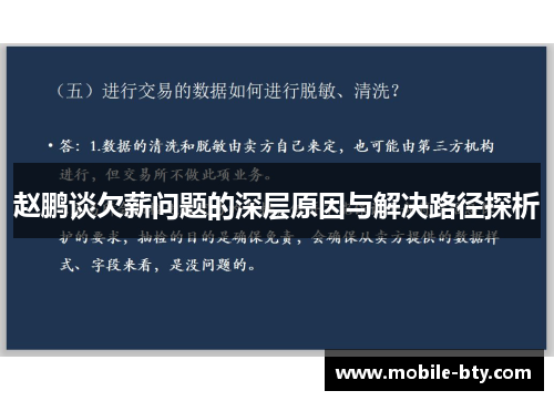 赵鹏谈欠薪问题的深层原因与解决路径探析
