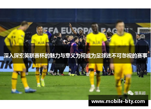 深入探索英联赛杯的魅力与意义为何成为足球迷不可忽视的赛事