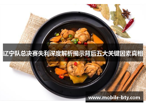 辽宁队总决赛失利深度解析揭示背后五大关键因素真相