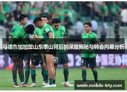 马德鲁加加盟山东泰山背后的深度揭秘与转会内幕分析