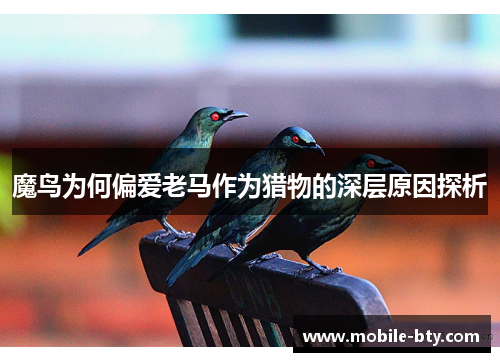 魔鸟为何偏爱老马作为猎物的深层原因探析