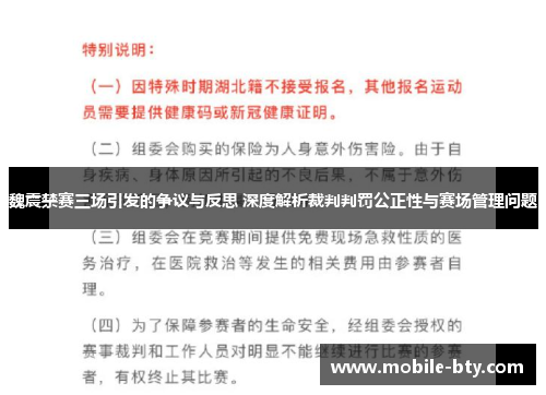 魏震禁赛三场引发的争议与反思 深度解析裁判判罚公正性与赛场管理问题